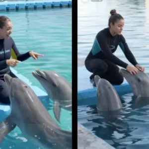 PROMPT DELFIN Y SU ENTRENADOR #26