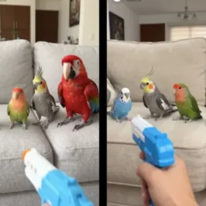 PROMPT COLAPSO DRAMÁTICO DE 4 ANIMALES #46